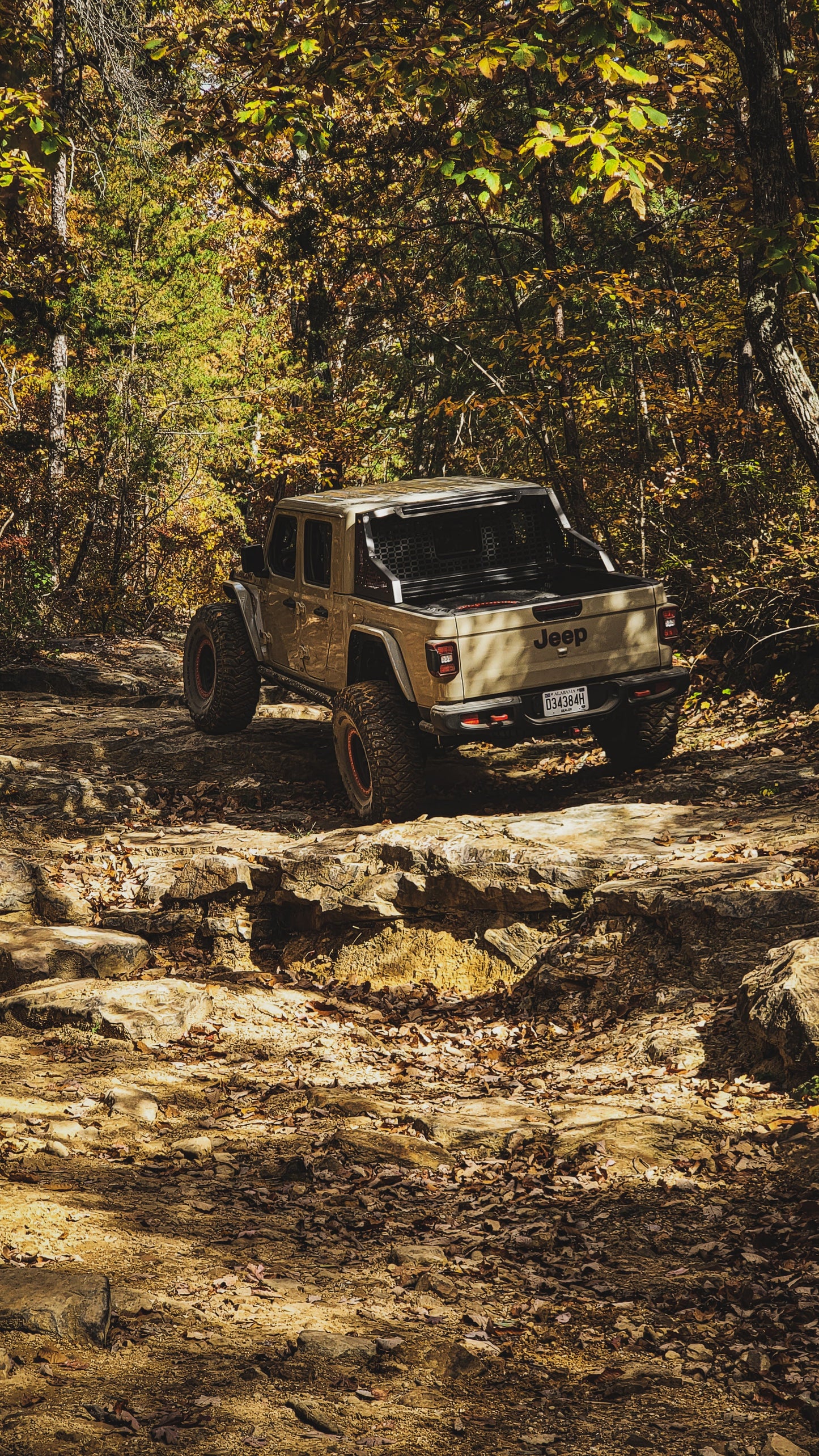 Chase Rack for JT Gladiator