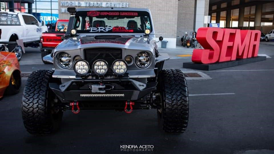 TYRI D18 8000 eLumen Light (Single Light)