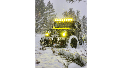 TYRI 1313 8600 Light eLumen (Single Light)